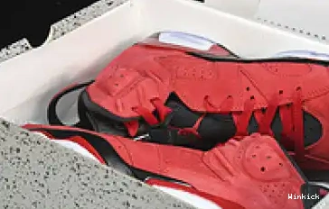 Jordan Bravo” “Toro 6 CT8529-600 0430